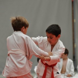 DSC 0509  Small - Judoclub Zaventem 